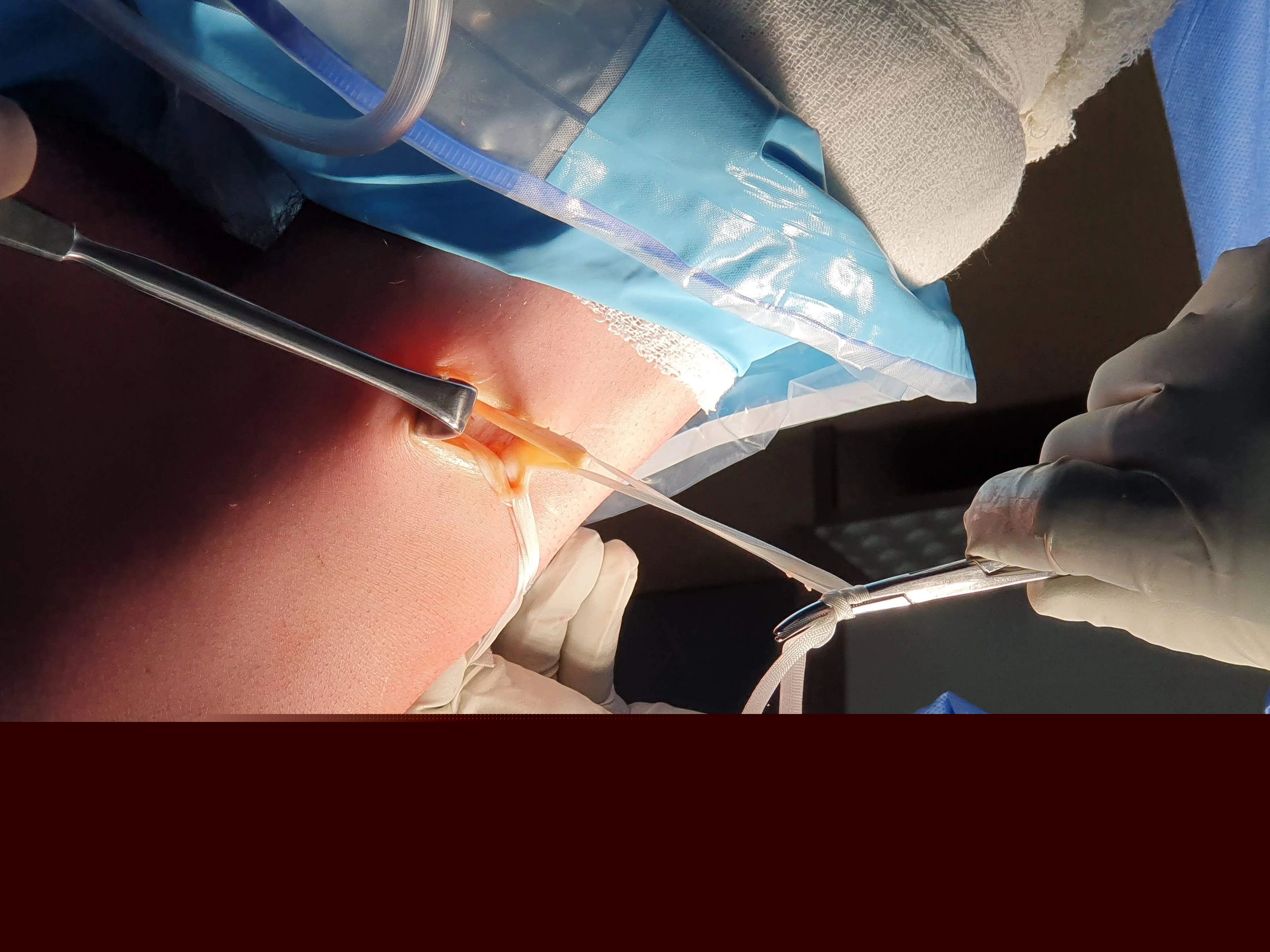 orthopaedic service